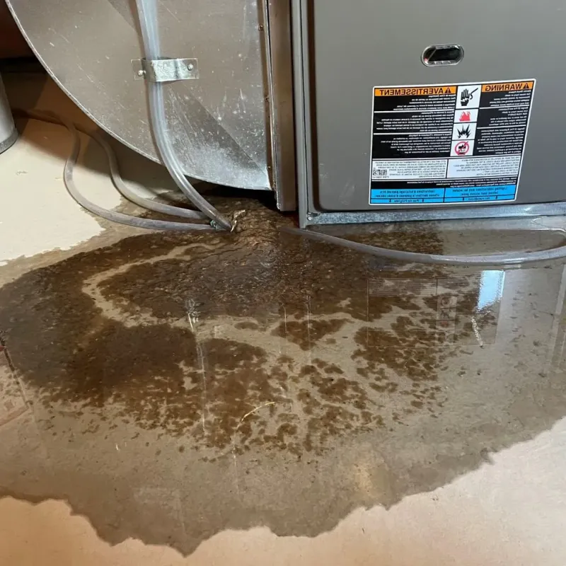 Pipe Burst and Leak Restoration in West Rutland, VT